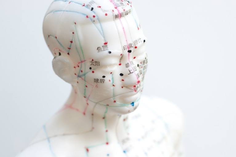 Acupuncture points on model